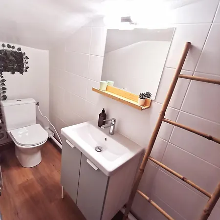 Cosy Traversant Apartment Sainte-Foy-les-Lyon
